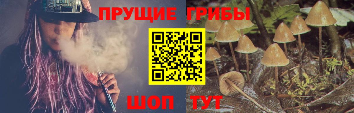 Благодарный  Псилоцибиновые грибы Psilocybe  Вход с VPN 