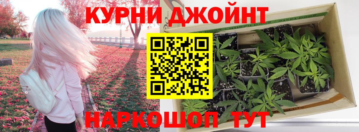 Каннабис SATIVA & INDICA Благодарный
